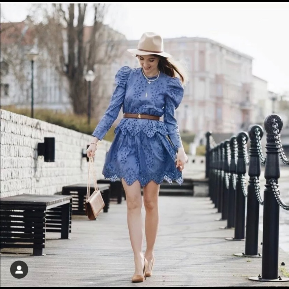 Zara Embroidered Eyelet Dress - Picture 3 of 9